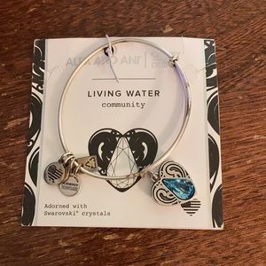 Alex and Ani “Living Water” Bracelet